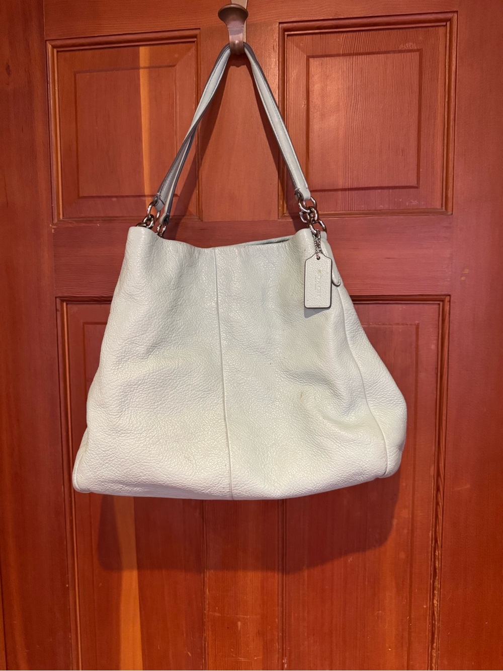 Coach Leather Shoulder Bag in Light Mint
